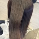 솔라티움시티 강남 | [리뷰] 강남역 미용실 슬론헤어 강남점 웨딩 본식전 애쉬브라운 염색 후기(feat. 유진 디자이너)