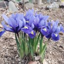 단지골 농장 이미지