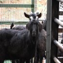 박철희농장 이미지