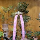 바른메디칼 이미지