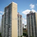 서현고교 앞 이미지