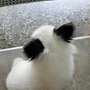 미림사진관 이미지