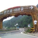 대금민박