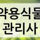 반려식물(홈가드닝) 이미지