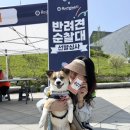 꿈의광장 | 서울시 반려견 순찰대 3년차 재심사 북서울꿈의숲 선발심사 후기