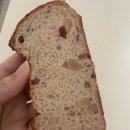 유성농업협동조합 | 무가당인데 왜 이렇게 맛있어? 대전 하레하레 유성점 건강빵 후기