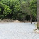 비둘기 펜션 이미지