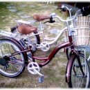 자전거펜션 이미지