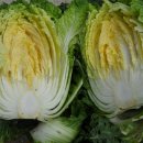 예밀농장 이미지