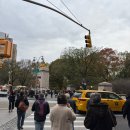 그린라인파크(아이스링크 뒤, 교각P8) | 차 : 브로드노쉬베이글, 센트럴파크, 파오슈와츠 젤리캣, 리제, 하이라인 그리고 뮤지컬 어쩌면 해피엔딩♥️