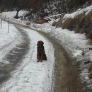 운교 이미지
