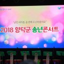 2018 영덕군 송년콘서트 이미지