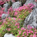 (주)삼우통신