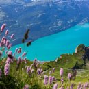 브리엔츠 이미지