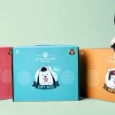 다양하개 이미지