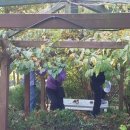 흙과 나무 이미지