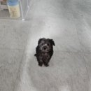 견생미생 이미지