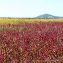 우음도 에코뮤지엄 이미지