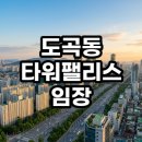 도곡동 타워팰리스 임장 후기 직접 가보고 느낀 명불허전의 가치와 현실 분석