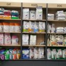 닥터표 동물병원 이미지