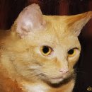 스타일클럽 이미지