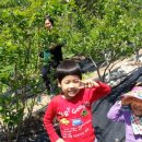 죽곡농장 이미지