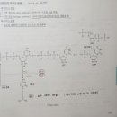 [2023심화/통합] 심화/통합 1권 7장 세포호흡 p351 피리미딘 분해 이미지