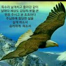 날개 - 수원시 팔달구 정조로 800-4 | 날개