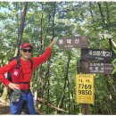 동악산 Daum카페