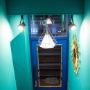 데파트 동물병원 이미지