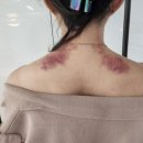 김앨빈 유외과의원 이미지