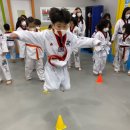 용인대 큰나라 태권도 이미지