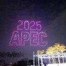 2025APEC정상회의 유치 이미지