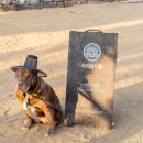 스테이여기 이미지