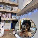 글라스월드안경 광주봉선점 | 봉선동안경점 아이앤글래스 안경 봉선점 방문 후기