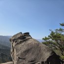 행운카모터스 Daum카페