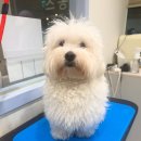 Mong's(몽'스) 이미지