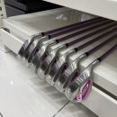 경충대로 11 | 이천중고골프매장 입문 여성 골퍼 골프채 풀세트 추천/다이와 엘파 11 풀세트 장만