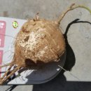 태우농장 이미지