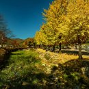 배론성지 이미지