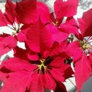 메타 동물의료센터 이미지