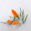 복지TV(대전,충청)방송 개국식 안내 이미지