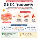 일광약국 티스토리