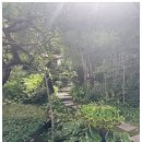 초록흑돼지농장 이미지