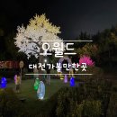 청해어린이공원 | [대전 여행] 어른이 더 신난 오월드데이트 나이트유니버스까지 다 즐기기