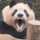 세븐일레븐 광주임동한국점 | 기아 롯데 9/11 광주 기아 챔피언스필드 직관 1루 108블록 (삼중살 직관😁출퇴근도 직관)