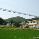 난지1리 마을회관 이미지