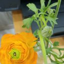 연산동주민센터 이미지