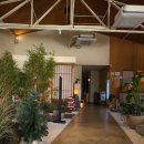 칠복료칸 | 대구 들안길맛집 일본으로 떠나는 칠복료칸 들안길점 방문후기