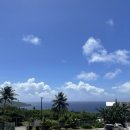 유니약국 이미지